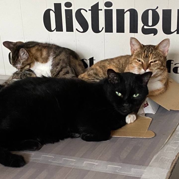 24e77031 ef5d 44db aaf0 9c415f7d092d 1629025721494