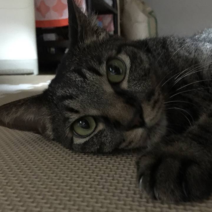 24e7b539 ea1b 4d1a befe a0ff6f465027 1630040923983