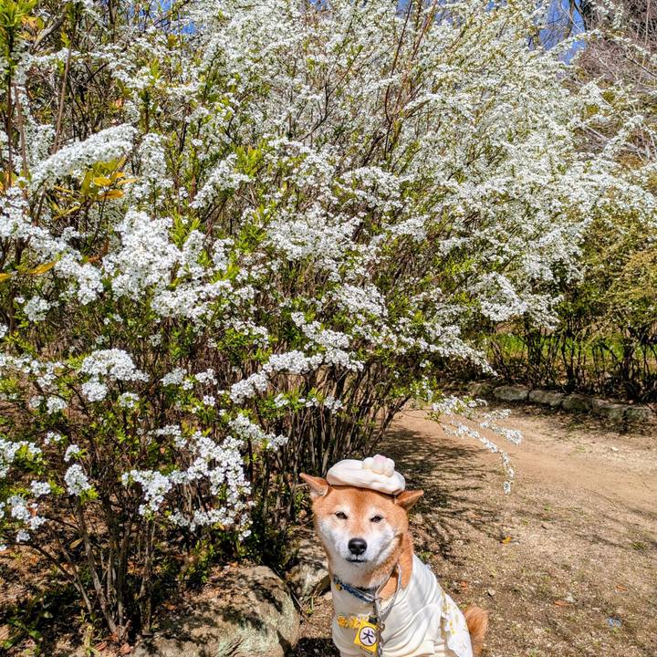 24e7c55d 5f72 4842 a083 5fe88ed5ffdd 1773659214817
