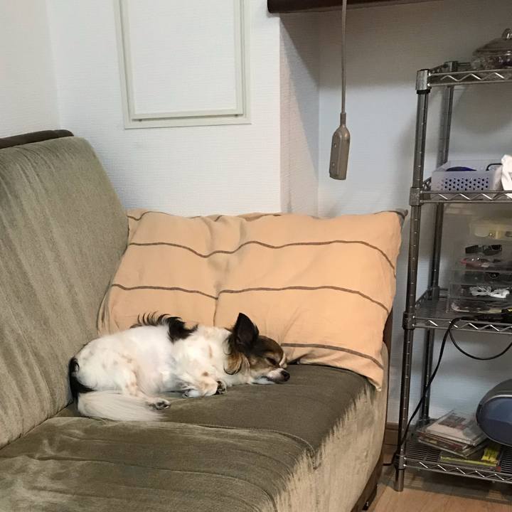 24e808fe 8693 45f9 9ec9 a32959fcbf26 1568985108527