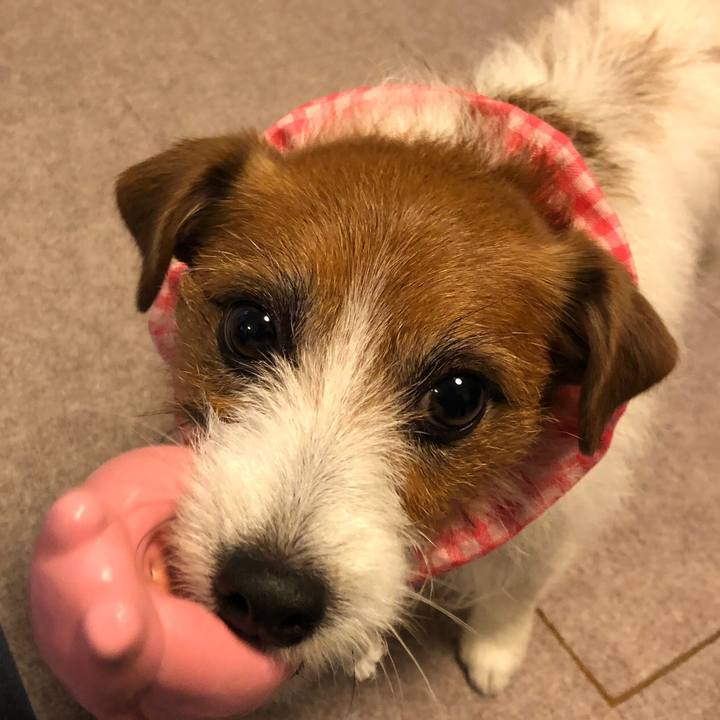 24e80dba 453a 48d8 9e6c 96a03f9d6e36 1604592055808