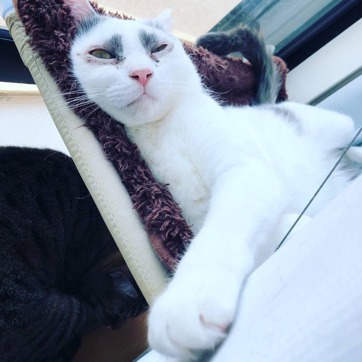 24e82170 36cf 4202 9383 39da0b27032f 1557521260426