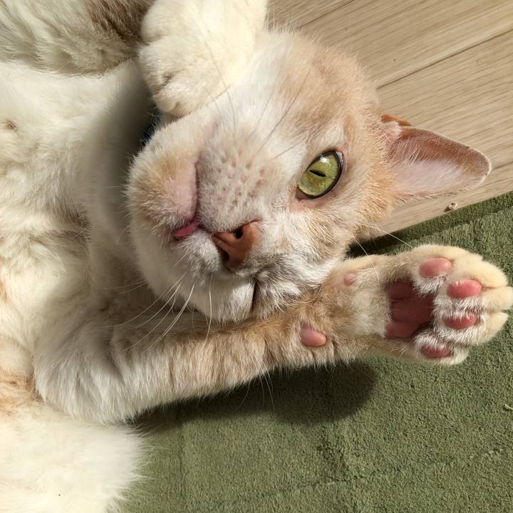 24e84ece cac2 492b b7e9 5325cc3b95b1 1628290165564