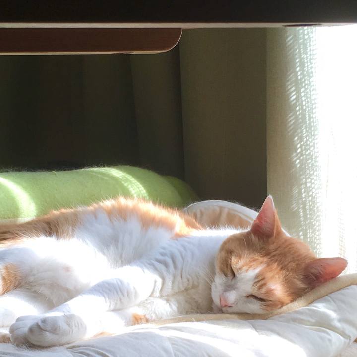 24e851cd ba9a 4c01 89ee e05657b5e1b0 1564990297073