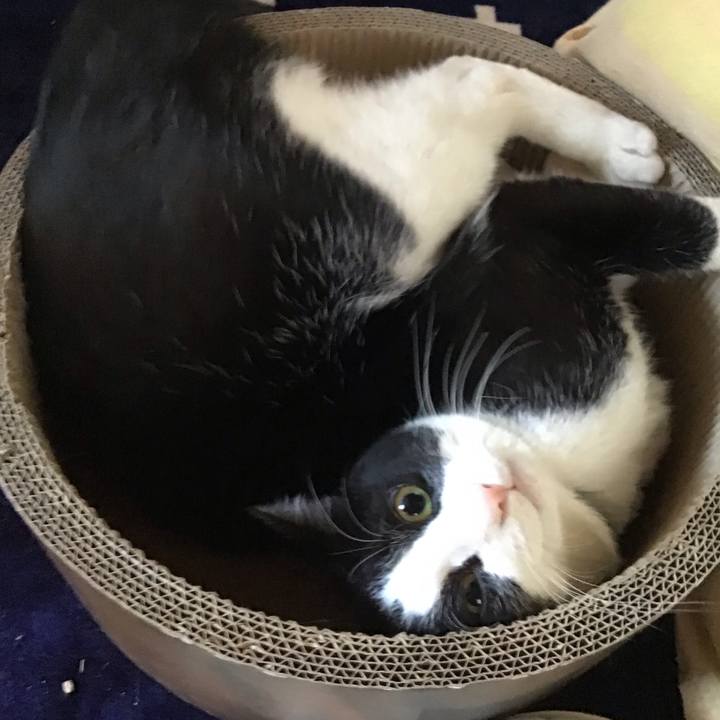 24e85568 d576 4ada 95ed 5d0faf11c33d 1707714770899