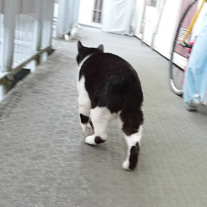 24e86a54 e839 45d0 8d01 816d8cecabca 1667555839562