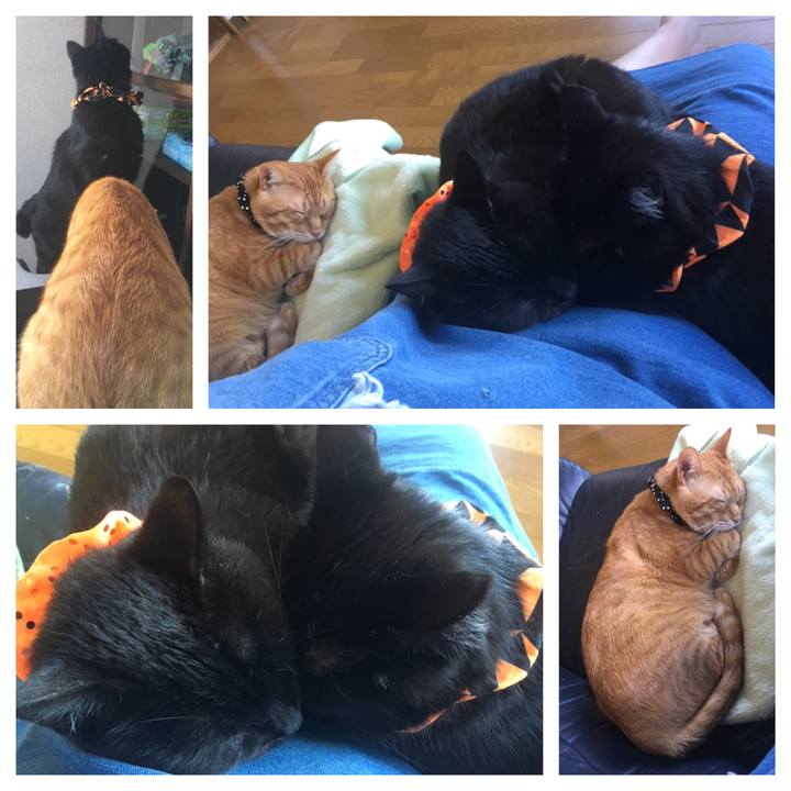 24e877b1 1674 4faf a429 79c30d42d5f9 1538973150755