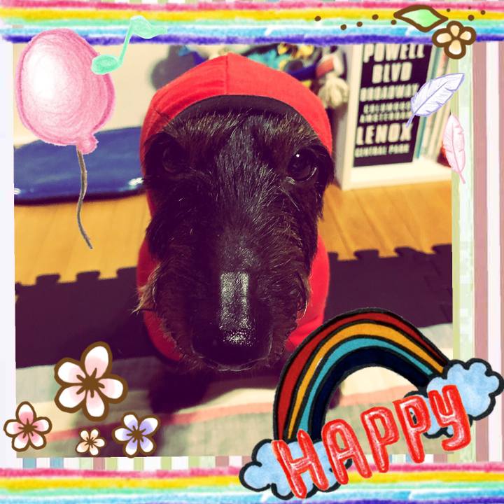 24e8dab1 e016 40f7 b03f 86dda6750c9c 1536507245269