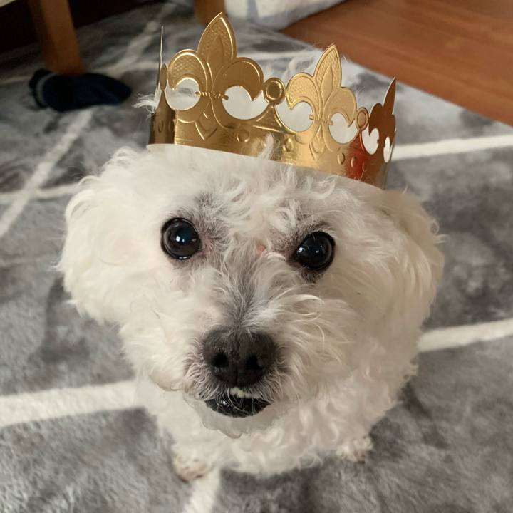 24e9009a ce13 40dd b543 e82b630aa048 1675004242819