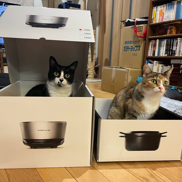 24e9078c 1897 4f33 9b10 f987af8473e6 1698846810952