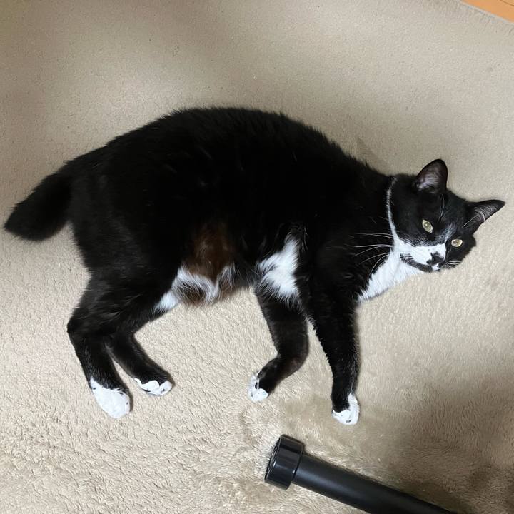 24e94d43 2f6d 4db1 a1cb f2a63b1e54e8 1721360397401