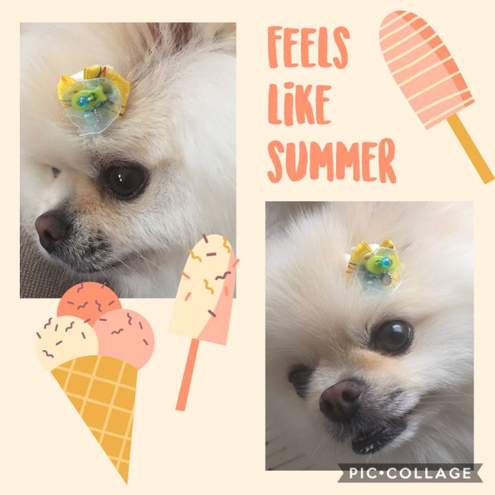 24e953ba 5e9b 4d75 b9a6 4acce9778bdd 1595229436127