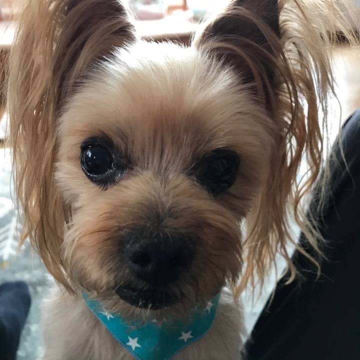 24e95ae5 55fa 4d6f a5c6 7ecb6150566b 1552522675660