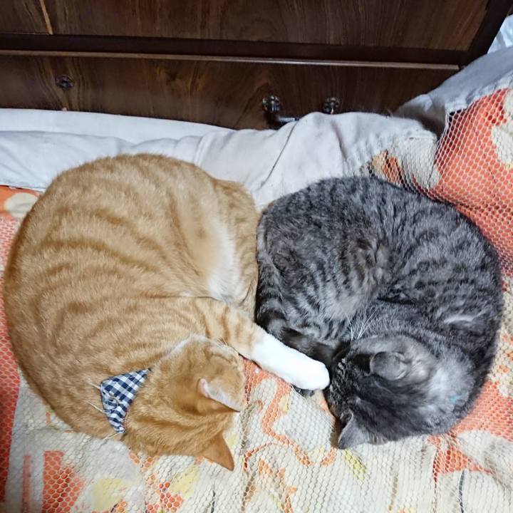 24e98fea 7d62 49ea b24d a9eb525fbe4e 1572439718303