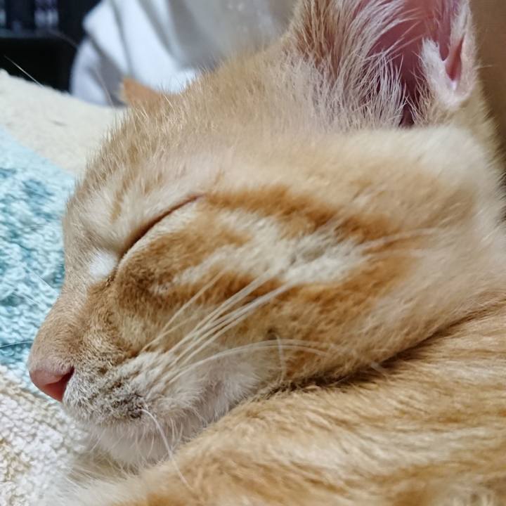 24e9978f 8515 4f82 be89 615804ab2cb1 1633351470614