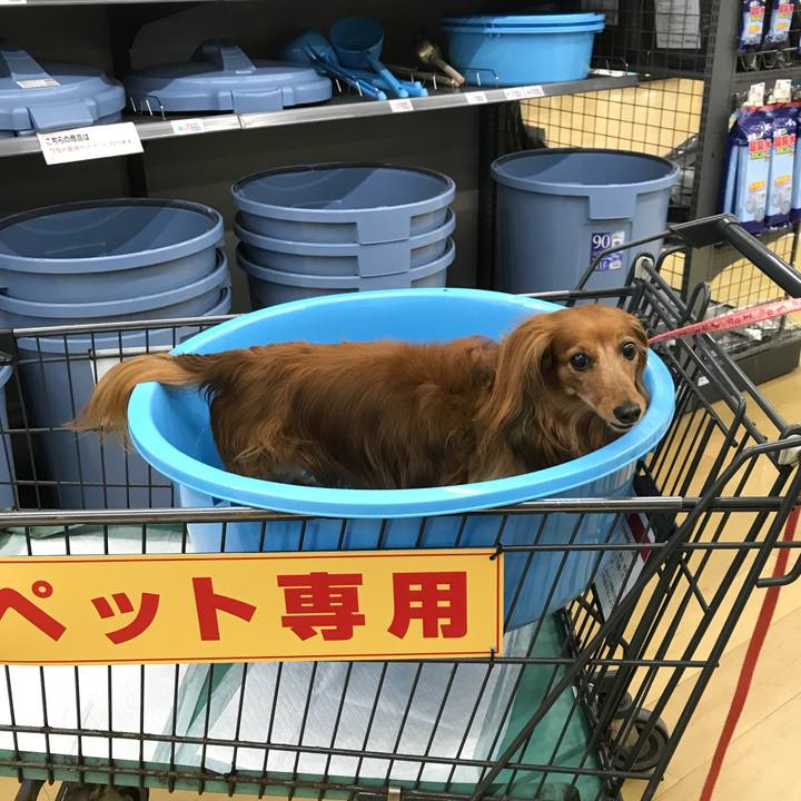 24e9a27c 09b8 4b34 84d0 7573a033019a 1531735930840