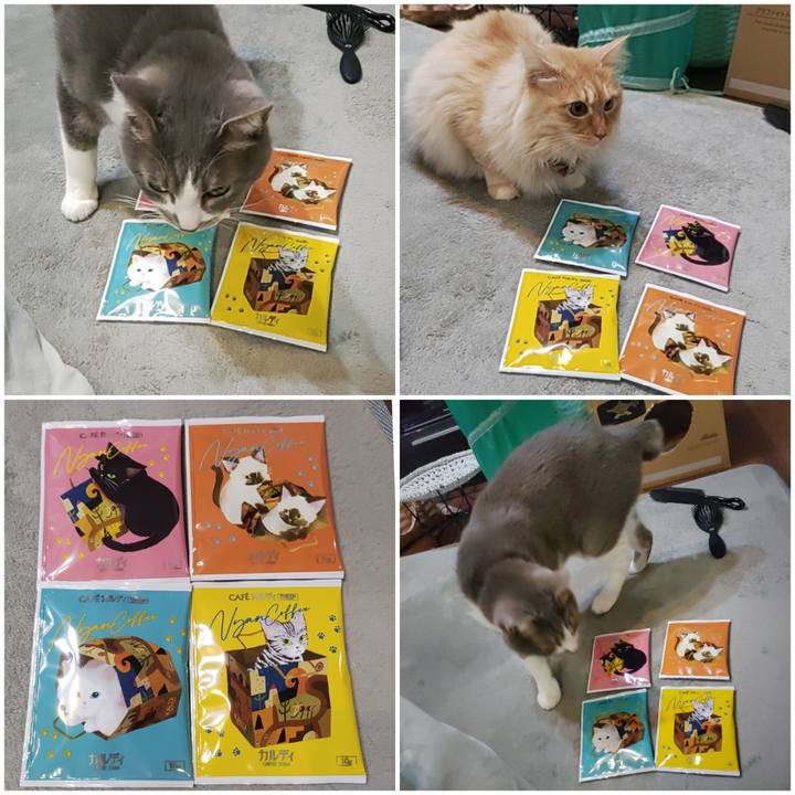 24e9bd8f 6fb5 456a 88b6 3c854cbab594 1706362199257