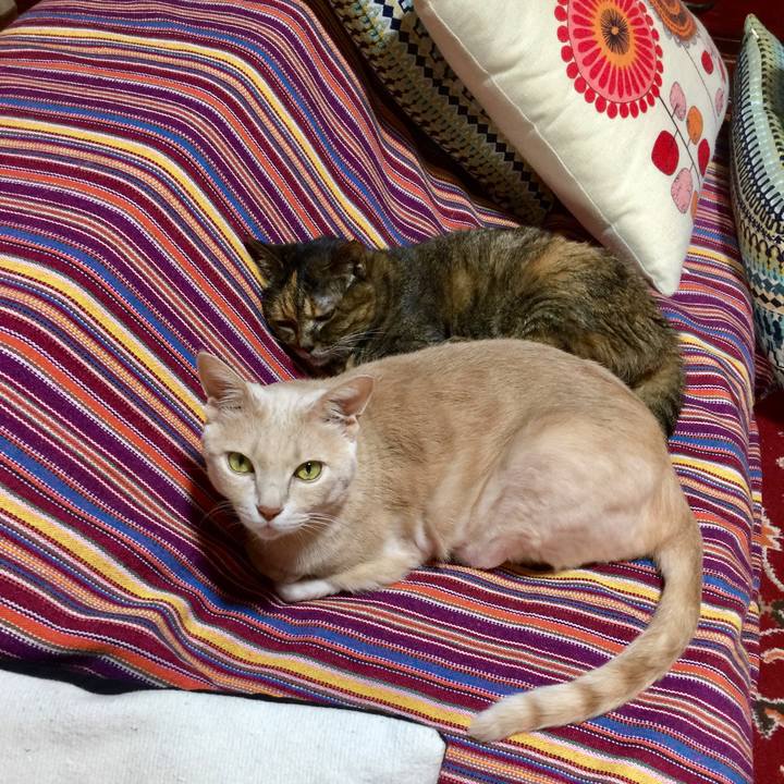 24e9c878 8e71 485a afa0 1b5414dc06fa 1649546744147