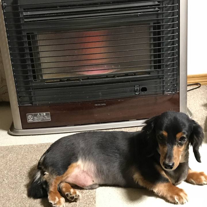 24e9cf86 da91 42ac ae5c f9c8d1d0c37b 1508536710250