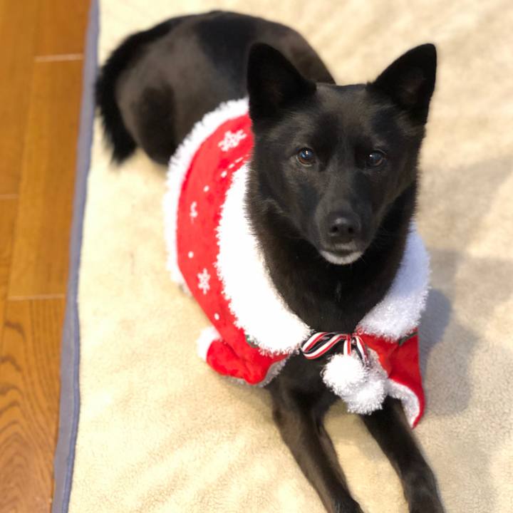 24e9e9ad bb2c 458d 928f d894bb390668 1608799869109