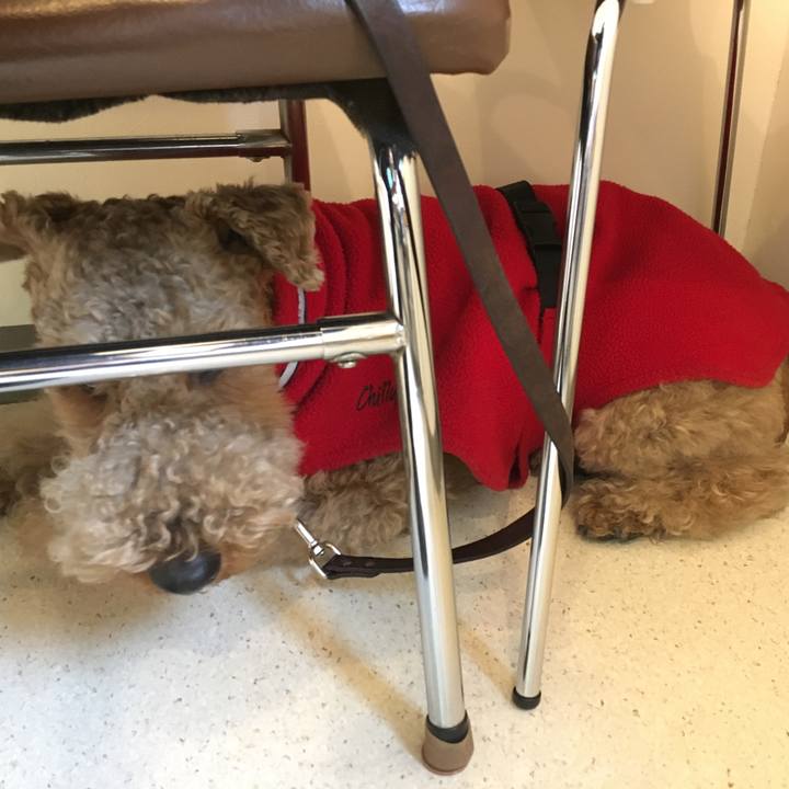 24e9fce0 aa00 4d7c a7b6 9772f756c99b 1519294185575