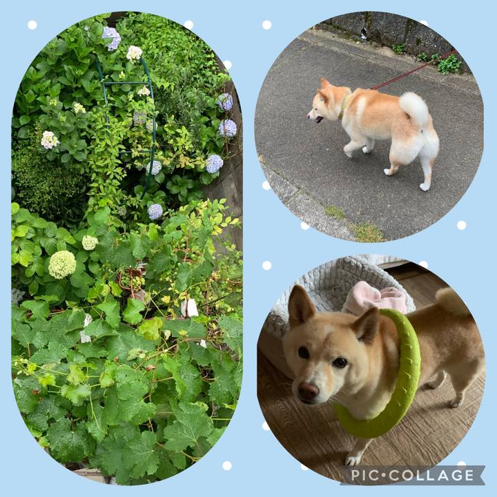 24ea1ce5 5779 40e0 9785 e59419a5d965 1655201073912