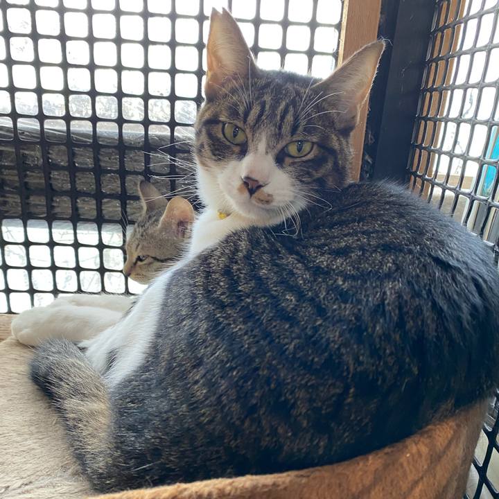 24ea4ed8 2a21 4114 9953 eca91371399b 1600559849488