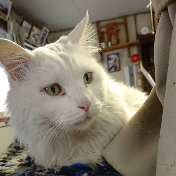 24ea7c1b ef2c 4d53 8d07 81fd3002be67 1555021584298