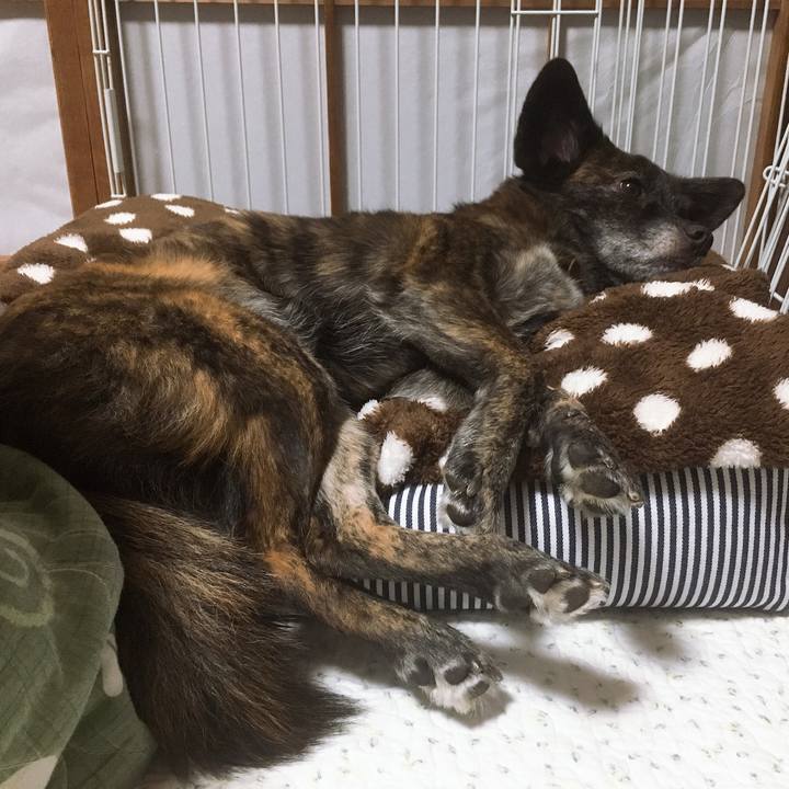 24ea994f 8cd2 455c 918c 10f674dbe125 1545665903791