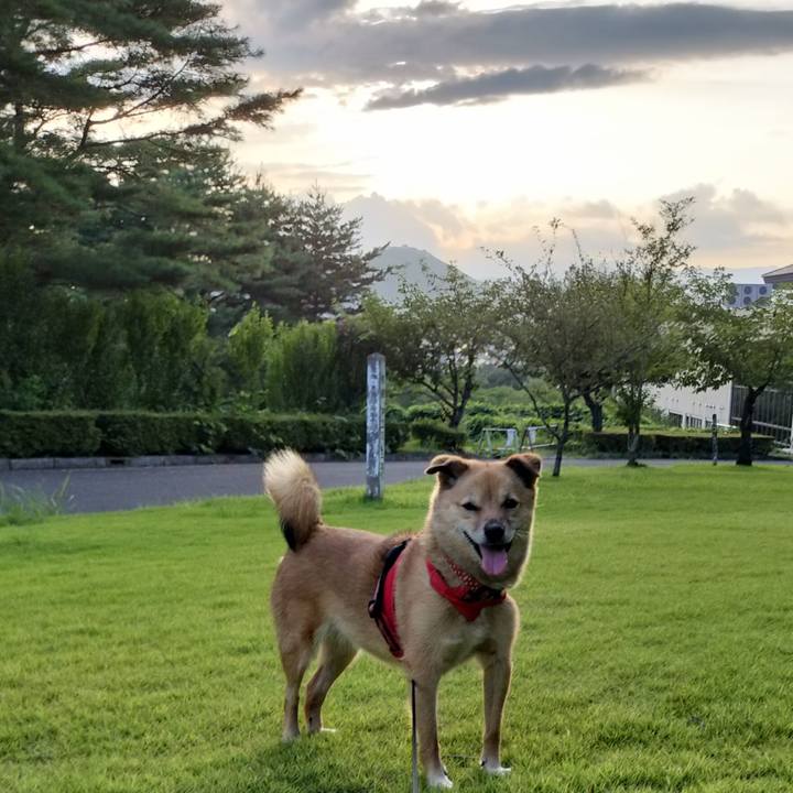 24eaa73a 0521 400c ba9a e60f33783838 1723798627355