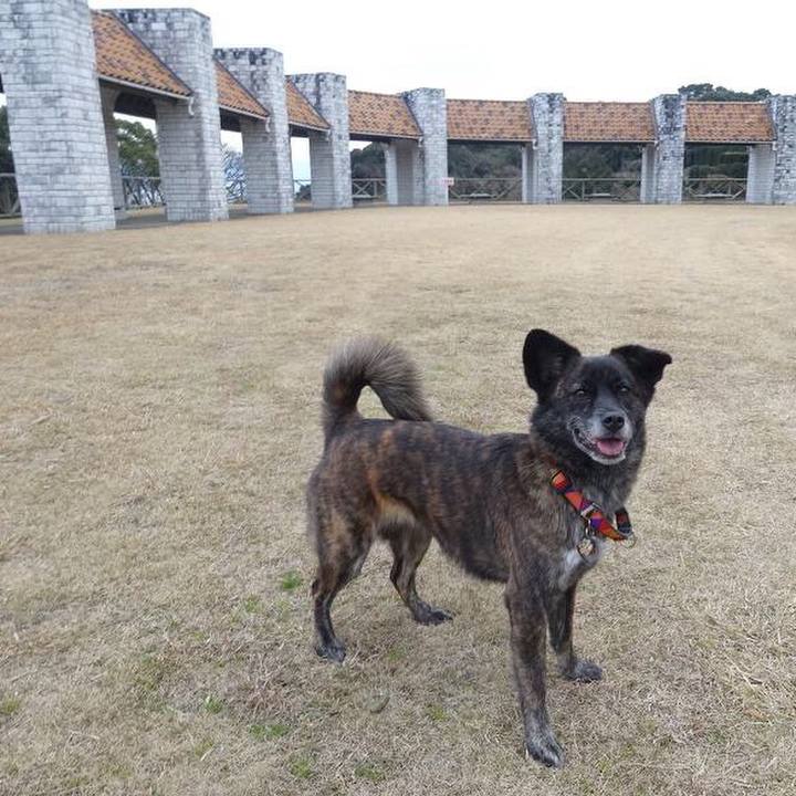 24ead39d 7b27 4918 a098 0254610fb21b 1521421344646