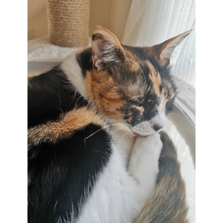 24eadfd1 b05c 44bd 9beb 458a9b7648dc 1679723532908