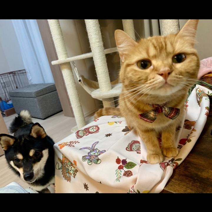 24eae049 b705 46ec 8ec3 2d911ae22566 1592471426961