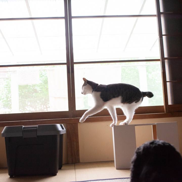 24eaf3ed 7bcb 4da0 9d6f 3be8b5ee0c48 1562122496985