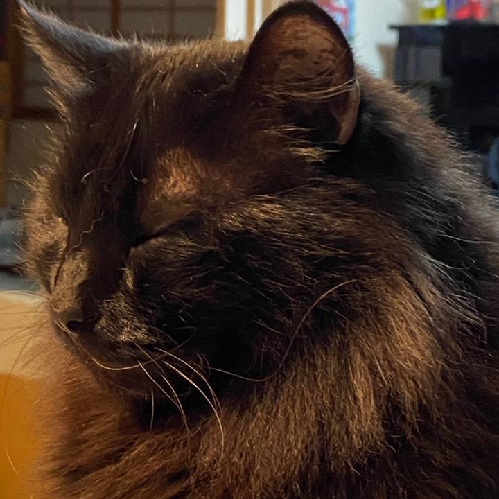 24eb085b 5734 4afa addf 6f4a00ce7feb 1581256407598