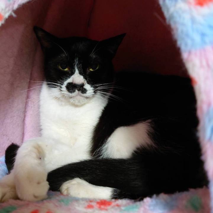 24eb1291 5137 4fc0 86e9 7a8c520c3e96 1649412839040