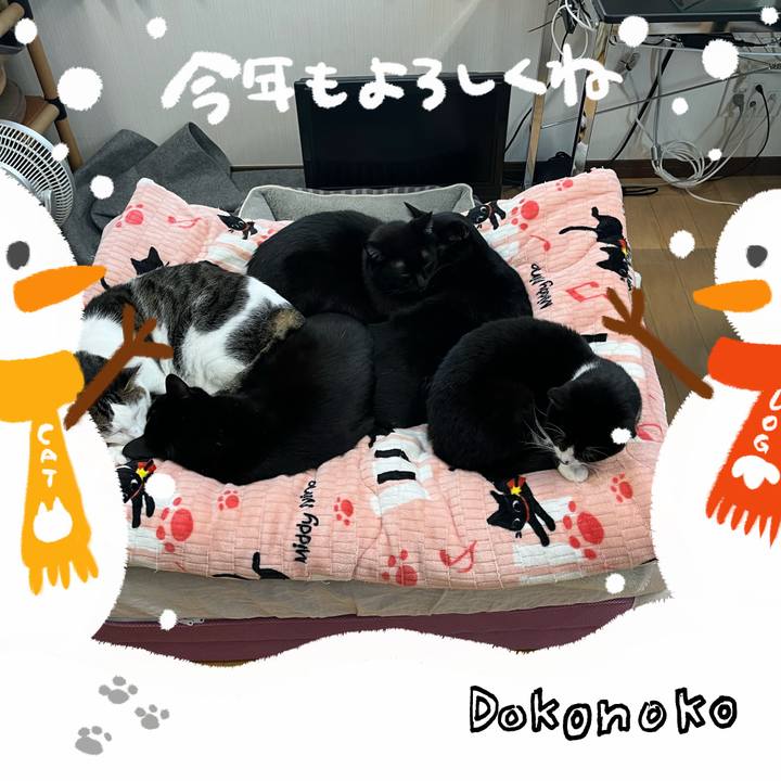 24eb240c 39fe 4f2d 90ae d58cdaaff041 1704246161717