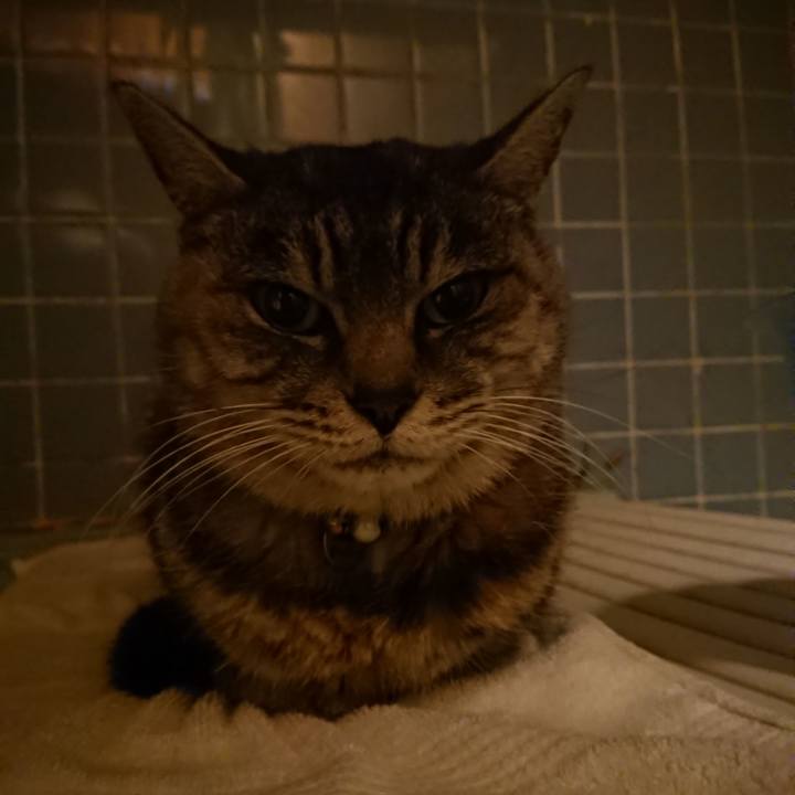 24eb371a 70db 4399 aaeb 212d6ff0301b 1574673932281