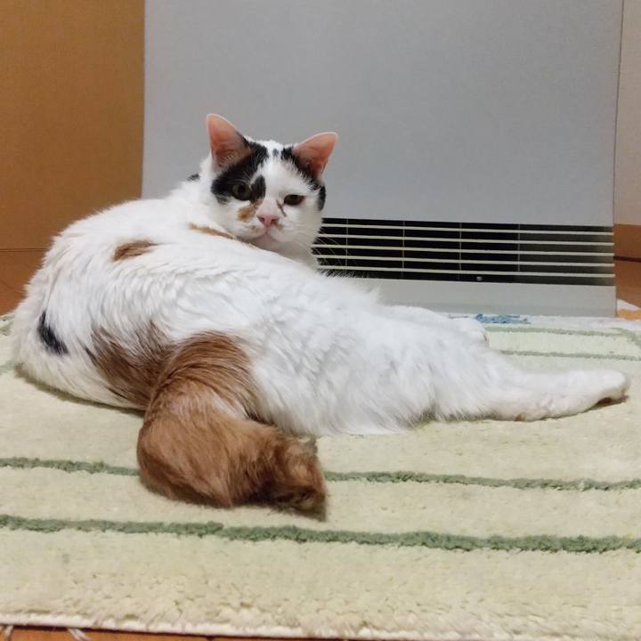 24eb3b8d 3e22 4695 8792 8b3428707882 1649934238611