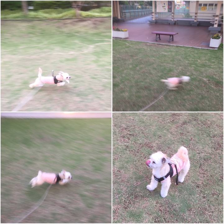 24eb3fb3 6fe6 4c40 b1ae aa6f725b452c 1558519105510