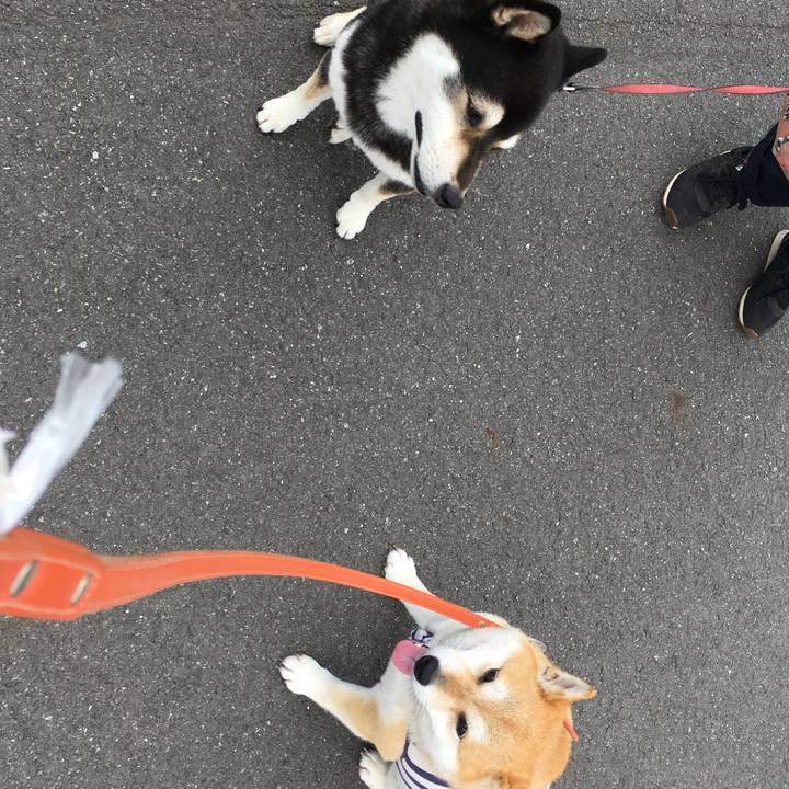 24eb420b e13a 4153 ab9b 32d14c4a9dac 1558060148507