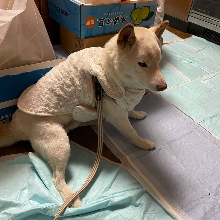 24eb554b 468a 4648 97b5 96ee66082e61 1638544379231