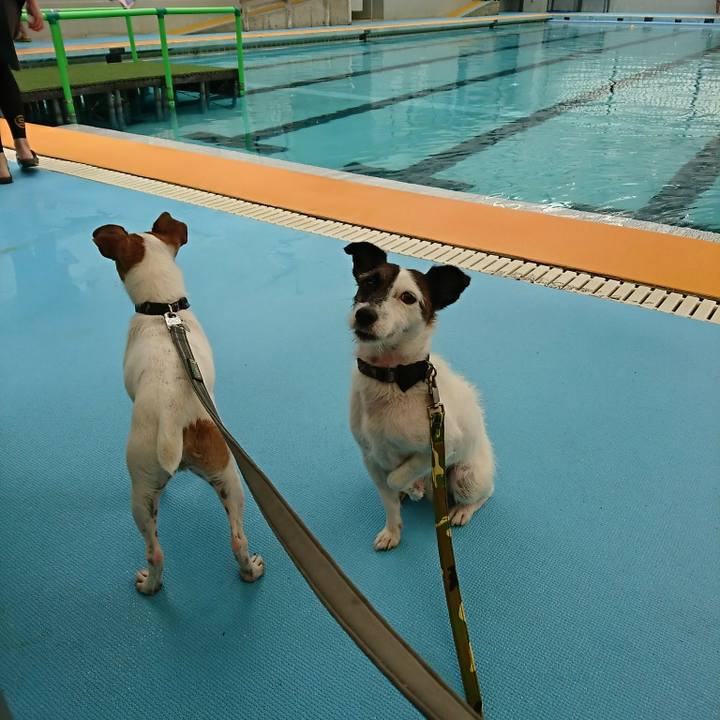 24eb62fb 86a8 4783 8acc c6d69e3836bc 1531291614098