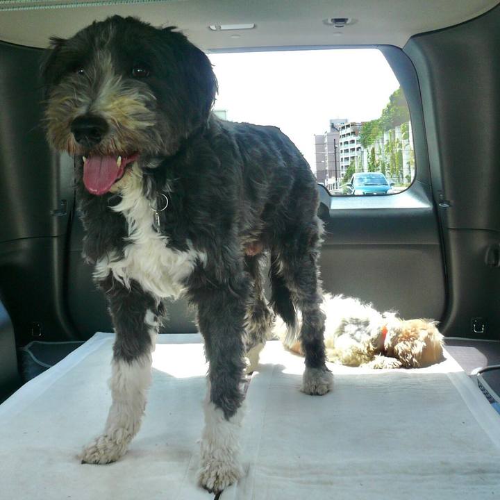 24ebb85e ff07 4a18 8314 325c22b1350f 1582719187593