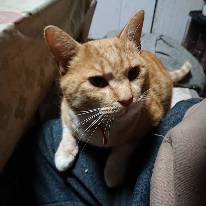 24ebba1e c918 4cb9 a6fd cddb8fb41d92 1575318017438