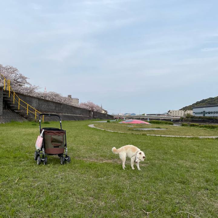 24ebbd48 f7e8 4667 86aa 0efa2841a5fe 1649258593870