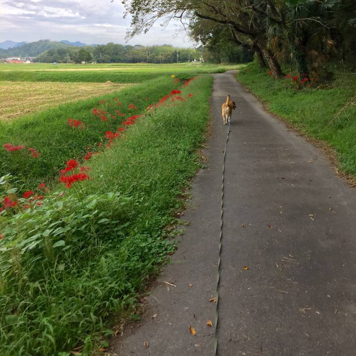 24ebcf52 097c 46a8 8900 eeff647764ae 1537868262452