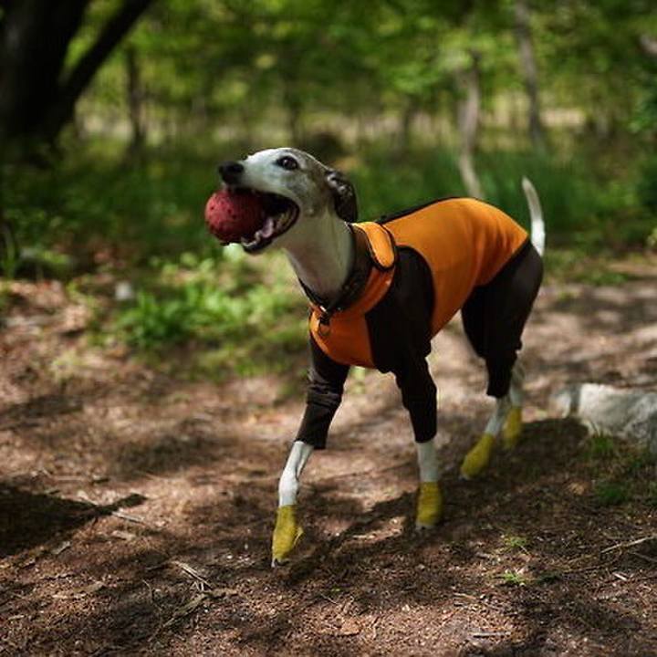 24ebe7b0 b08d 4ff3 bb85 3a290c9ba346 1526388206421