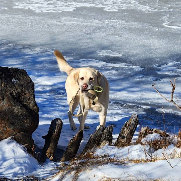 24ebf67e 96e6 40ab 9166 86b9315e2441 1704527931315