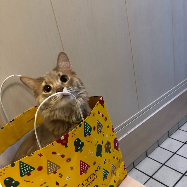 24ec1cb8 b273 4dfb 9f16 74b00bde8c75 1576831853981